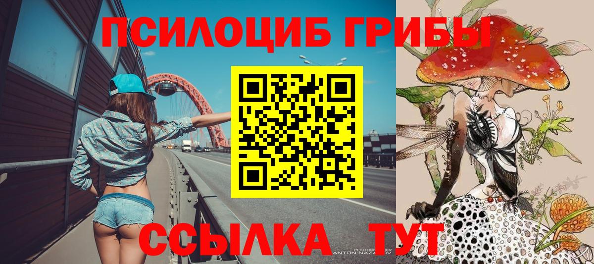 Владикавказ  Галлюциногенные грибы прущие грибы  Галлюциногенные грибы Psilocybe  Вход с VPN 
