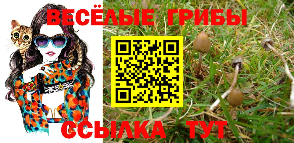 Меф  НБОМе  МЕФ   Вход с VPN  ГАШ  Владикавказ  Каннабис 